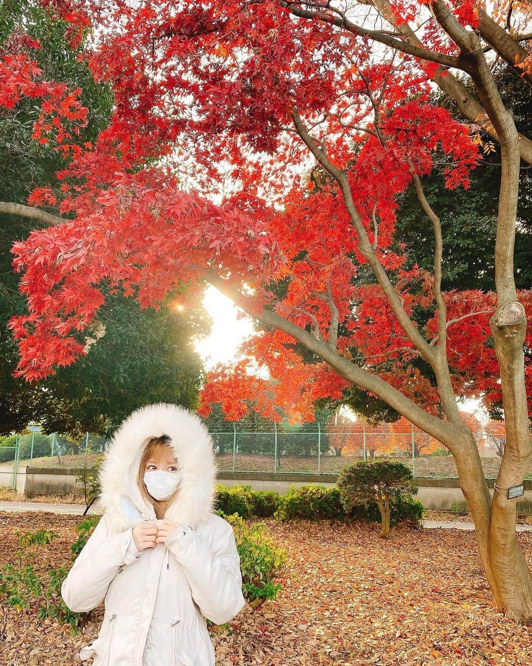 森カノンのグルメインスタ