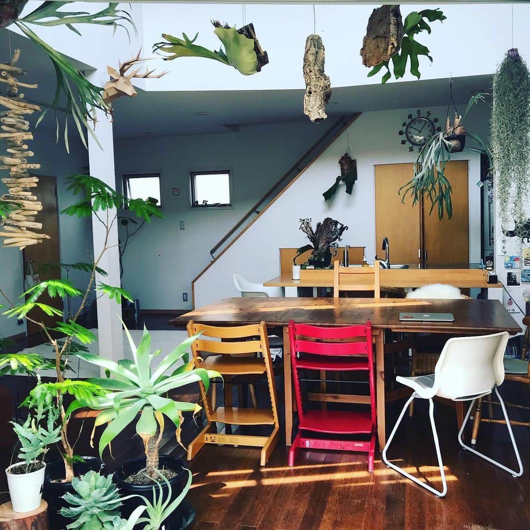 Stokke Japanさんのインスタグラム写真 - (Stokke JapanInstagram)「突然ですが質問です。トリップ トラップ（ビーチ材）の色は何色あるでしょうか?⠀  答えは13色(2021年1月13日現在)です。椅子は、インテリアの中でも重要な家具。リビングにいたら常に目にする存在です。子ども用だとしても、ましてや大人まで使うならなおさら色は悩みどころ。でも今は時節柄、実物を見に行くことも簡単ではありません。⠀ ⠀ そこで今月は、ユーザー様の事例を交えながらトリップ トラップの色のご紹介をしていきたいと思います。初回は、定番であり一番人気の「ナチュラル」です。⠀ ⠀ 【トリップ トラップ ナチュラル】⠀ 1973年に日本で発売してからずっと愛され続け、使い込んで飴色になったものも見かけるほど。どんなインテリアにもマッチし、飽きのこない、永遠の定番です。表面は木肌（木目）が見え、ツヤがあります。木目の個性も味わうことができ、「木製」だということを意識できる色です。大人になっても使いたいということで、トレンドに左右されないこの色を選ぶ方も多くいらっしゃいます。⠀ ⠀ ※色数は在庫状態によって変動します。廃盤になる色もありますので、Stokke.comにて最新状況をご確認くださいますようお願いします。⠀ ⠀ 📷1: @k.f.0711⠀ 📷2: @aot_and⠀ 📷3: @hiro35741014⠀ 📷4: @yu_ethical ※初期のチェアです ⠀ #ストッケ #トリップトラップ #トリップトラップナチュラル」1月13日 20時50分 - stokkejapan