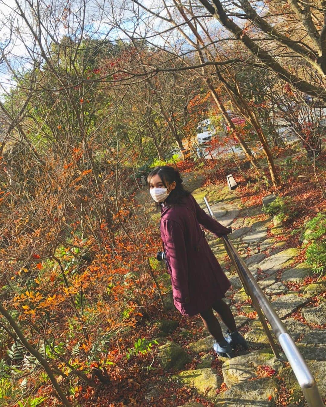 豊永阿紀さんのインスタグラム写真 - (豊永阿紀Instagram)「きれいで、おいしくて、たのしくて、たのしかった。」1月13日 19時33分 - aki_t_official