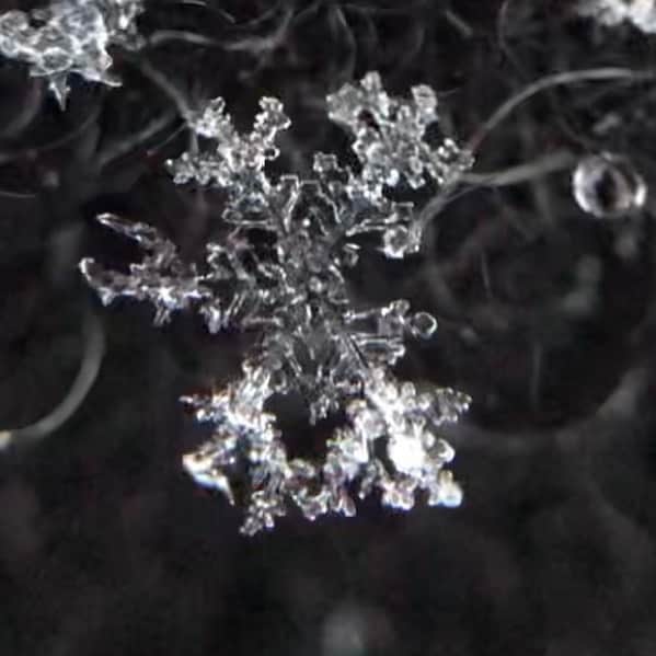 平地真菜さんのインスタグラム写真 - (平地真菜Instagram)「雪の結晶が解ける様子を ずーーーーーーーーっと眺めています👀  事務所のブログに雪の結晶を撮影する際のポイントをまとめました！「森田ブログ　雪の結晶」で検索してみてください😇！  撮影は長崎市　 スマホにマクロレンズをつけて撮影しました。 1月8日から9日です❄️  #長崎 #雪」1月13日 19時36分 - mana_hirachi