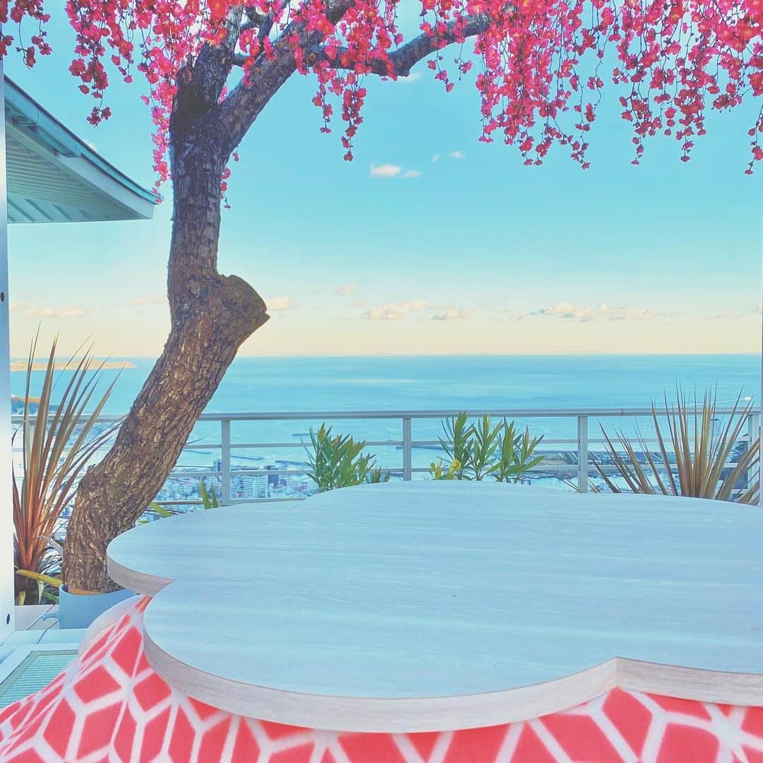 星野リゾート リゾナーレ 熱海さんのインスタグラム写真 - (星野リゾート リゾナーレ 熱海Instagram)「星野リゾート　リゾナーレ熱海では、 1月8日から日本一早咲きの梅×海を楽しむ体験プログラム「熱海、梅日和」を開催しています。  ホテル最上階の ソラノビーチ Books&Cafeのデッキには 梅×海の景色を堪能できる特別席が登場。 梅型のこたつに入りながら、 梅のピンクと海の青のコントラストを楽しめますよ。  ----------------------------------- 星野リゾート  リゾナーレ熱海 静岡県熱海市水口町2-13-1 TEL:0570-073-055(リゾナーレ予約センター) HP:https://risonare.com/atami/ -----------------------------------  #星野リゾート #リゾナーレ熱海 #リゾナーレ #hoshinoresorts #risonareatami  #スイーツ #梅 #梅まつり#花 #熱海 #atami #伊豆 #静岡 #shizuoka  #熱海旅行 #絶景 #海  #温泉  #ママフォトグラファー #女子旅 #おでかけスポット #子連れお出かけ #家族旅行 #子連れ旅行  #ファミリーフォト #旅行気分 #国内旅行  #travel #trip」1月13日 19時55分 - rnratami