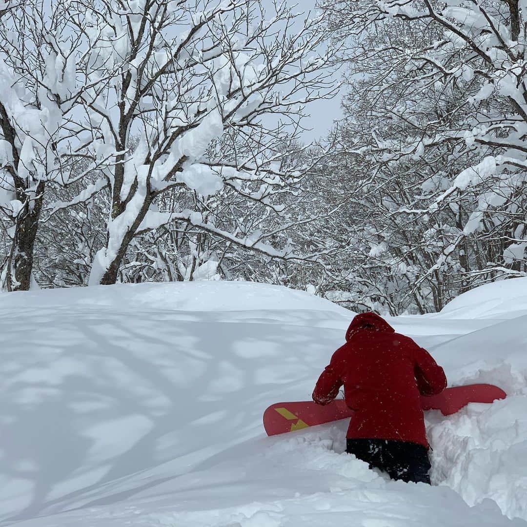 中村貴之さんのインスタグラム写真 - (中村貴之Instagram)「いつぞやのコルチナ国際スキー場 ブッカブカのパウダーでターンが難しかったけど最高でした。もっと精進します😤 動画の最後の叫び声はアドレナリンが脳内から噴き出た声です。スノーボードって最高です。 感染対策してスノーボード楽しみましょう。 @murasakisports_official  @allianjapan @alliansnowboards  @flux_japan @dangshades_jp  @brewclothes  #ヨコハマタイヤ」1月13日 20時02分 - taka_brew