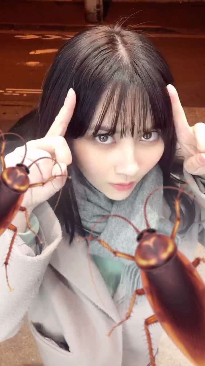 川添りなのインスタグラム：「ゴキブリ苦手〜💦びっくりしたらいいね。ゴキブリ苦手な人もいいね。いいねしなきゃこのおっきいゴキブリお家にでるらしいです🪳🪳🪳🪳🪳🪳🪳🪳🪳🪳🪳🪳冬だからって、、気をつけて。  #女の子 #ゴキブリ #好き？ #苦手 #tiktok #おすすめ #instagood #instapic  #instalike #movie」