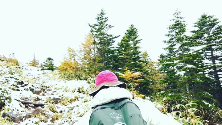 森郁月のインスタグラム：「登山記録🌲❄﻿ ﻿ ブログの方で、﻿ 去年トレッキングした﻿ 北八ヶ岳双子山〜双子池ルート﻿ をまとめました。﻿ ﻿ 登山口情報や、﻿ 食事した双子池ヒュッテの詳細も﻿ リンク貼りましたので。﻿ 気になる方は、プロフィールのブログからチェックしてみて下さい(^^♪﻿ ﻿ あ〜山行きたいよ〜！！﻿ ﻿ ﻿ #登山記録 #登山ルート #山小屋 #登山口 #北八ヶ岳 #双子山 #双子池 #大河原峠 #双子池ヒュッテ #トレッキング #登山 #山登り #ハイキング #雪山」