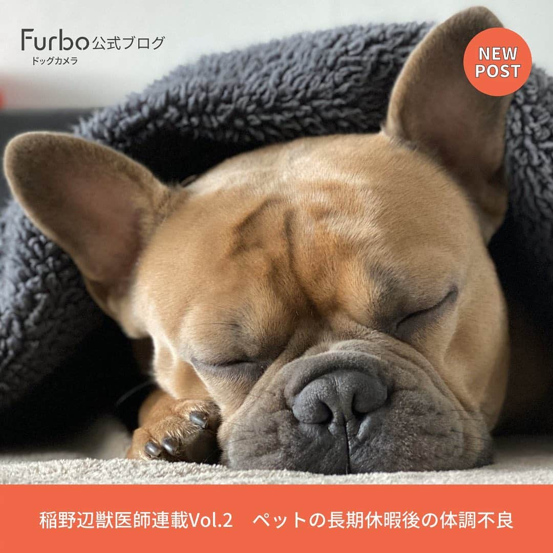 Furbo ドッグカメラのインスタグラム