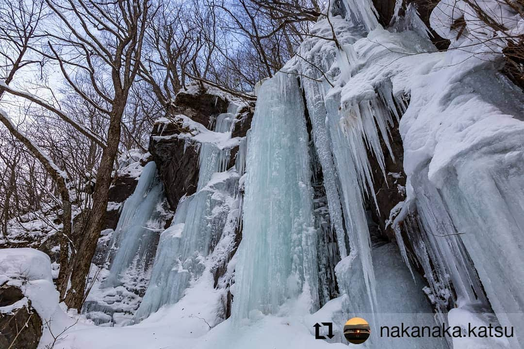 カメラのキタムラさんのインスタグラム写真 - (カメラのキタムラInstagram)「#Repost @nakanaka.katsu • • • • • • 奥入瀬渓流 自然の造形美  #my_eos_photo#photo_jp #team_jp東北#japan_street.gg #enjoytohokujapan#Loves_Nippon#photo_jpn#東北でよかっ#キタムラ写真投稿#けしからん風景#行くぜ東北#東北でよかった#ig_aomori#aomori #amazing aomori#青森gogogo #奥入瀬渓流」1月13日 12時23分 - camera_kitamura