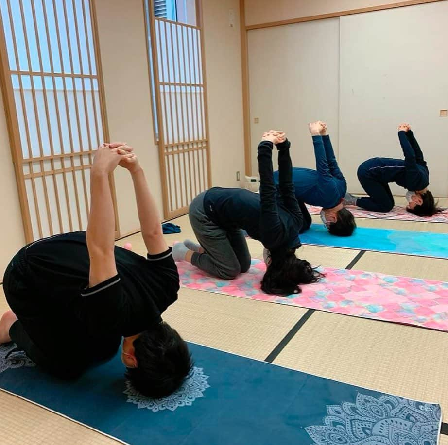 ヨガデザインラボ Yoga Design Labさんのインスタグラム写真 - (ヨガデザインラボ Yoga Design LabInstagram)「@plus.yoga.taichi  由紀先生のクラス。生徒さんがヨガタオルをご使用してくださいました。ありがとうございます 😊 . . . . #yoga #yogadesignlabjapan #yogamat #ヨガ #ヨガデザインラボ #ヨガマット #ヨガラグ #ヨガタオル #ヨガインストラクター #ヨガクラス #ヨガマットタオル #ヨガスタジオ #マイクロファイバー」1月13日 12時25分 - yogadesignlabjapan