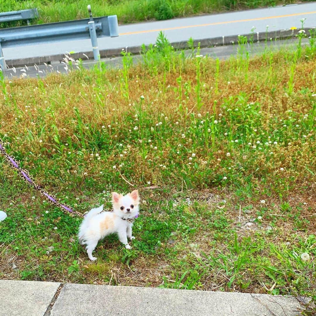 tetoyanyanのインスタグラム