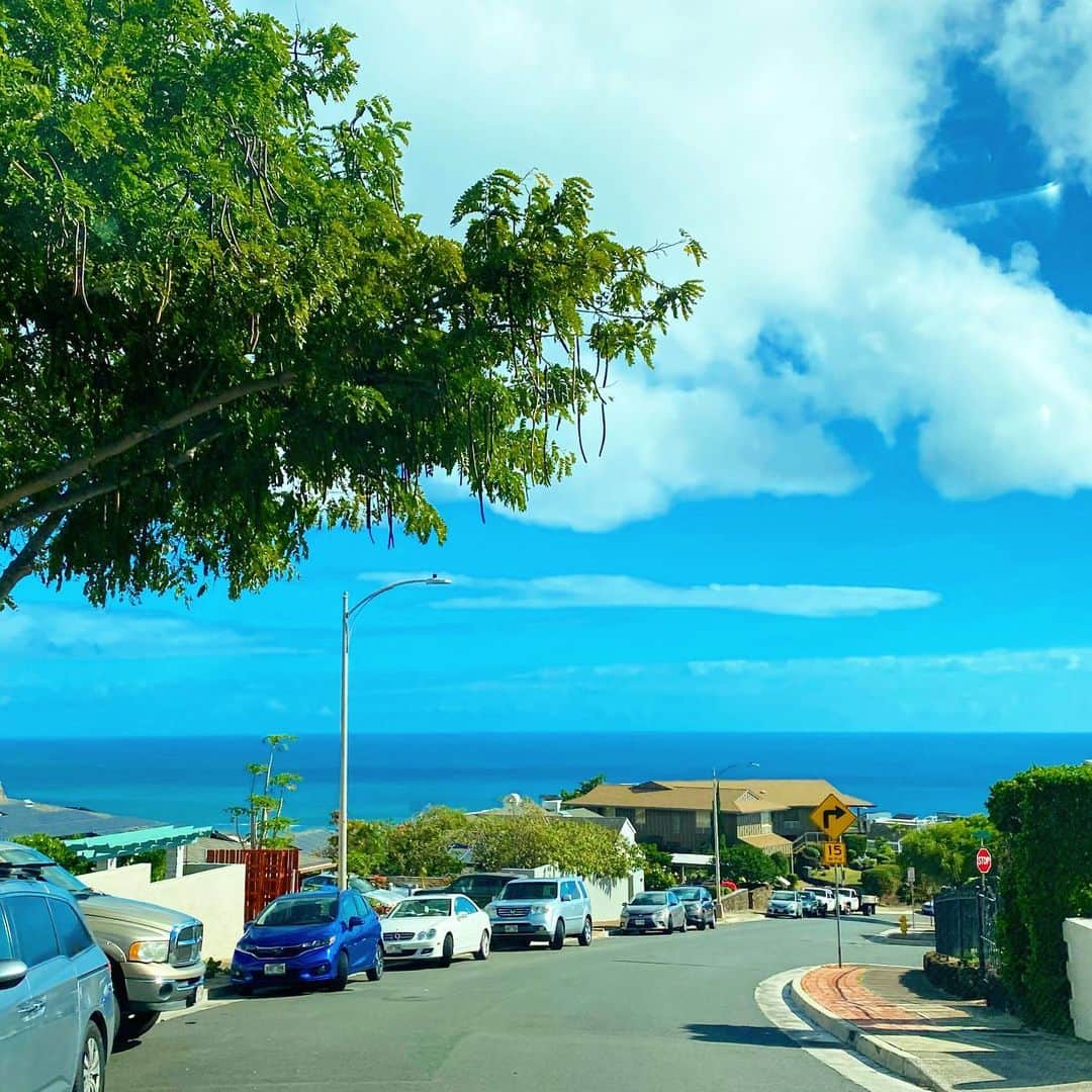 マキ・コニクソンさんのインスタグラム写真 - (マキ・コニクソンInstagram)「いまの時期はクジラ🐳 が見えるんですよ！  ハワイは今日も良いお天気だよぉ！☀️  #エアハワイ🌺  #ハワイのおすそ分け🤙🏼  #クジラのシーズンがやって参りました！🐳」1月13日 12時50分 - makikonikson