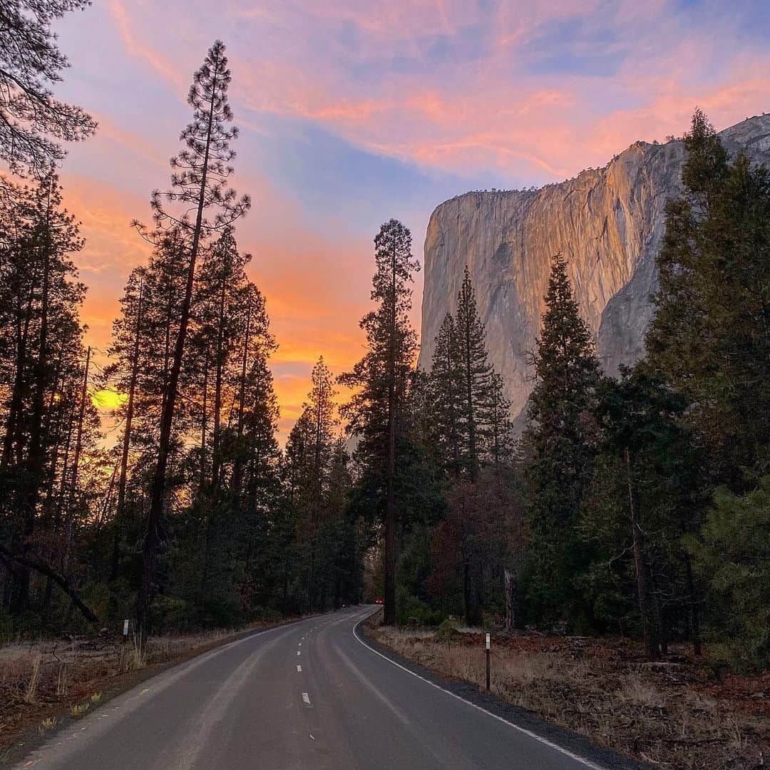 サッシャ・ロイズさんのインスタグラム写真 - (サッシャ・ロイズInstagram)「Escaped from it all #sequoianationalpark #yosemitenationalpark #usnationalparks」1月13日 12時59分 - mrsasharoiz