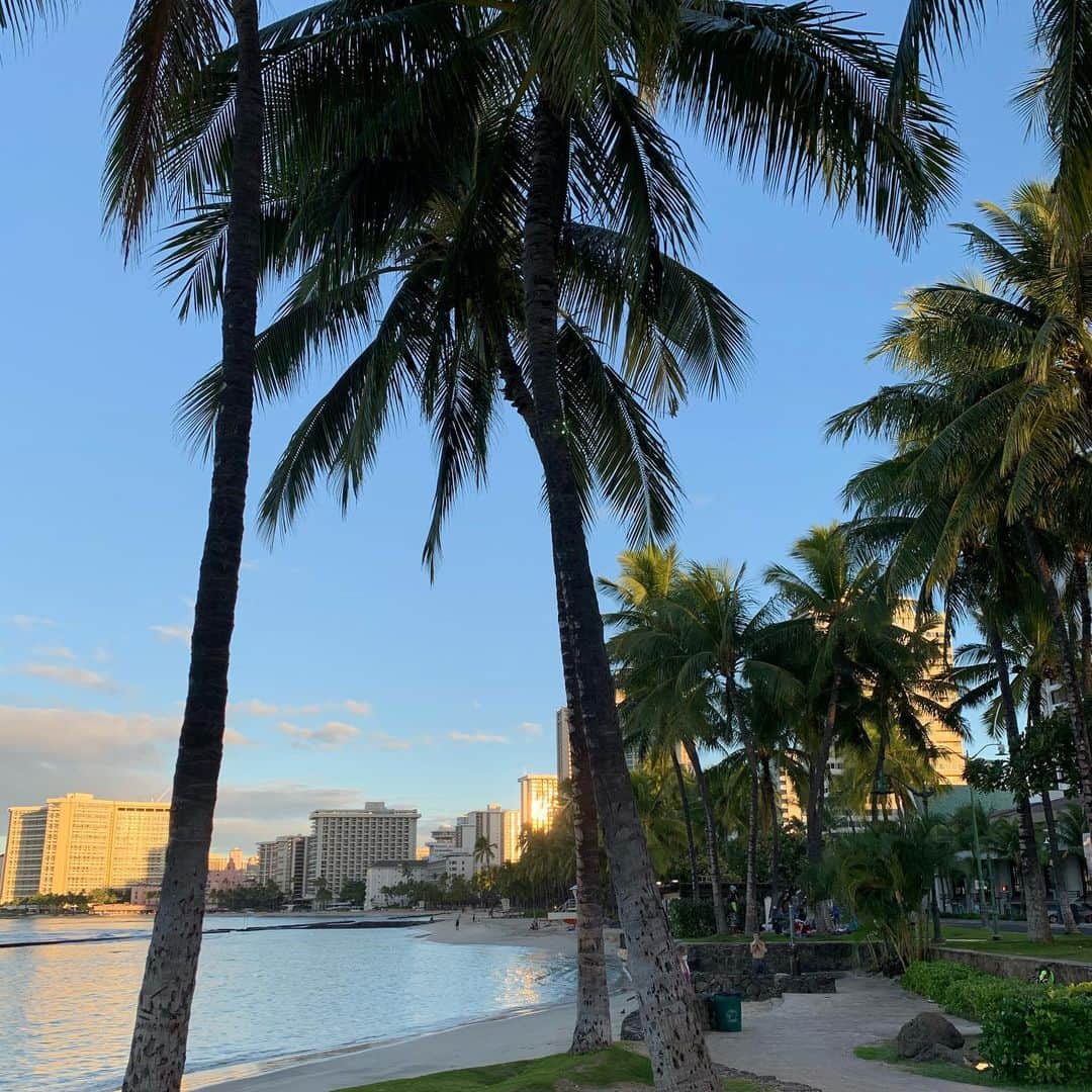 のインスタグラム：「Waikikiの朝7:45am  毎活クラブ びっくりするほど早寝します！ #朝活　#ハワイ暮らし」
