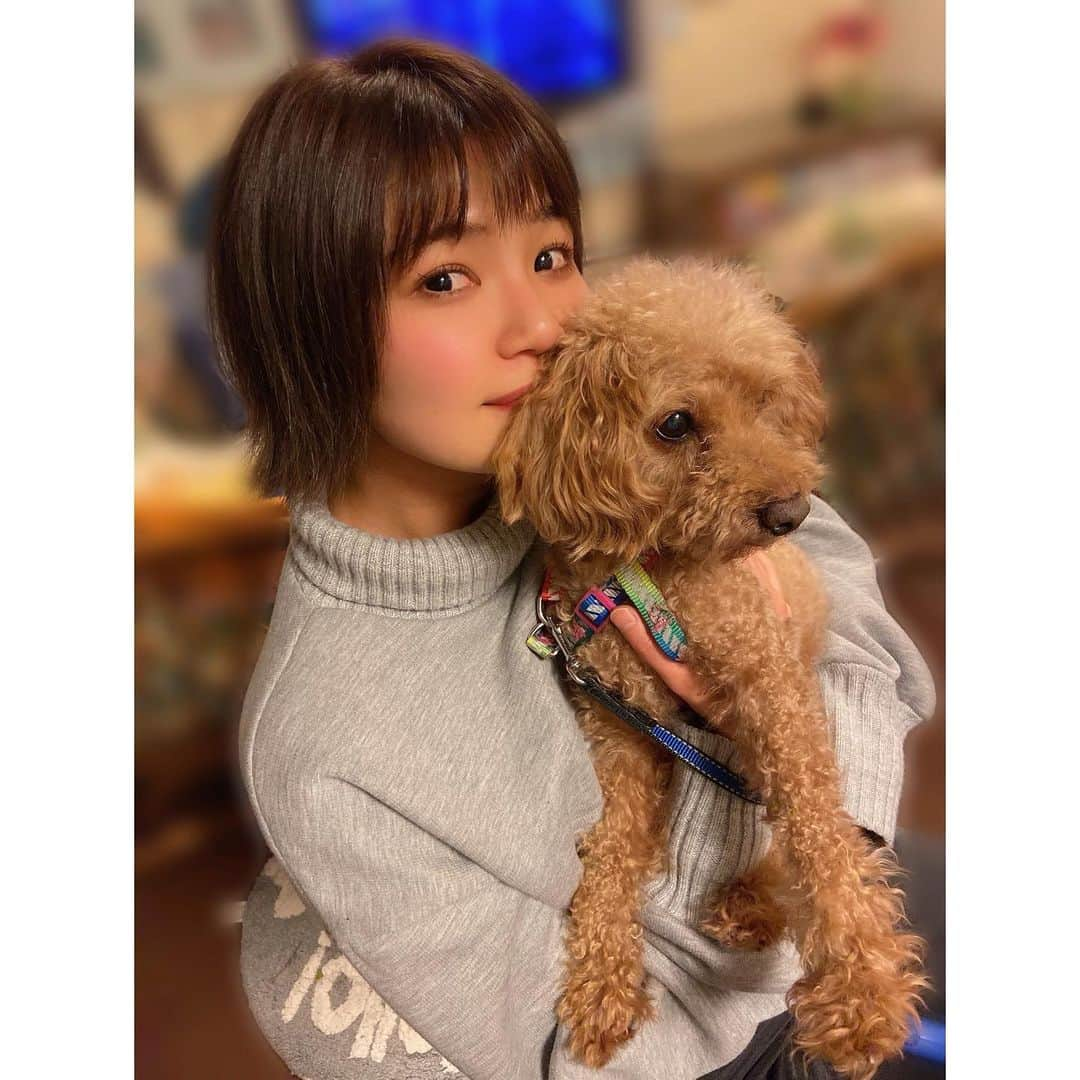 桜井りおなさんのインスタグラム写真 - (桜井りおなInstagram)「🐮年ですが愛犬と🐶ㅤㅤㅤㅤㅤㅤㅤㅤㅤㅤㅤ  ㅤㅤㅤㅤㅤㅤㅤㅤㅤㅤㅤㅤㅤ さいきん愛犬にあえてないのでㅤㅤㅤㅤㅤㅤㅤ 少し前のしゃしんですが🥺ㅤㅤㅤㅤㅤㅤㅤㅤ  たいへんな世の中だけどㅤㅤㅤㅤㅤㅤㅤㅤㅤㅤ みんなで前向きにがんばりましょうね😷 ㅤㅤㅤㅤㅤㅤㅤㅤㅤㅤㅤㅤㅤ 2021年もよろしくおねがいします👋🏻 ㅤㅤㅤㅤㅤㅤㅤㅤㅤㅤㅤㅤㅤ  ㅤㅤㅤㅤㅤㅤㅤㅤㅤㅤㅤㅤㅤ」1月13日 13時48分 - tcc_riona