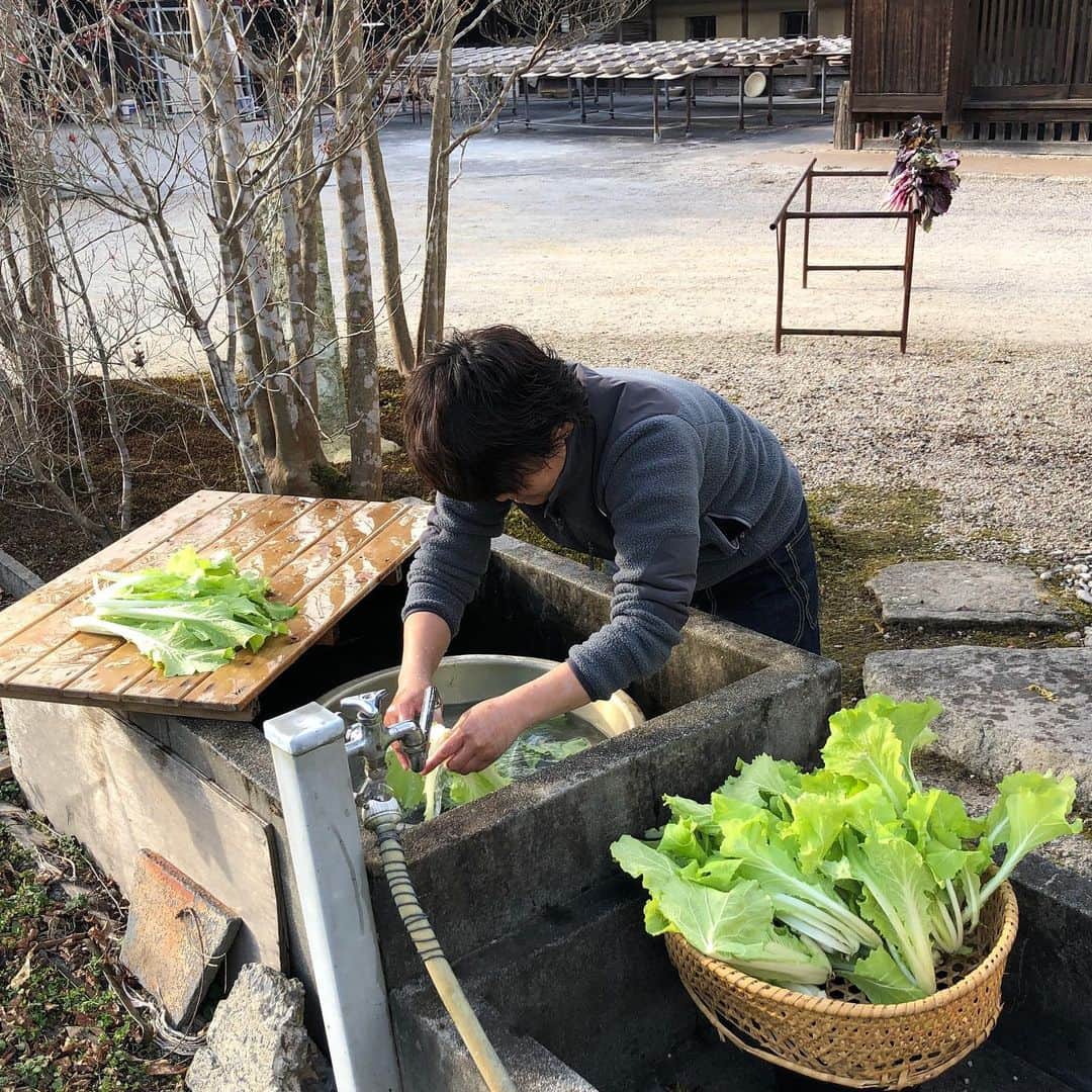 のインスタグラム：「オンライン教室「一保堂食堂」1/29開催﻿ ﻿ 今回のお料理は、土鍋でのお米の炊き方（ふっくらしてオイシイですね）、そしてステーキ（土鍋でステーキ！）焼いてみる…こんなお料理とそれに似合うお茶をご紹介します。﻿ ﻿ たくさんのご応募ありがとうございます。受付終了まであと6日です！﻿ ﻿ @dorakugama  #一保堂食堂 #オンライン教室 #土楽窯 #福森道歩 #土鍋 #お茶とお料理 #食卓 #日本茶 #京都 #ippodotea #ippodo #japanesetea #onlineworkshop #kyoto #dorakugama #donabe」