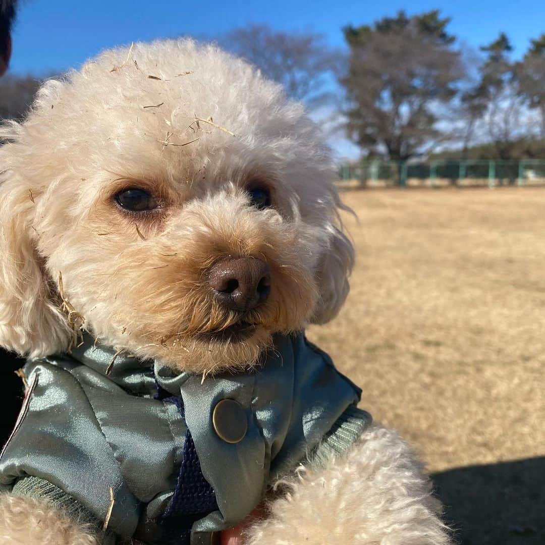 のインスタグラム：「あけましておめでとうございます🎍 いよいよ明日から始動です！ 今年はチームの目標達成のために全力を尽くします！ 2021シーズンも応援よろしくお願いします📣  #てんのように泥臭く #今年も沢山走るぞ  #茂木力也  #愛媛fc」