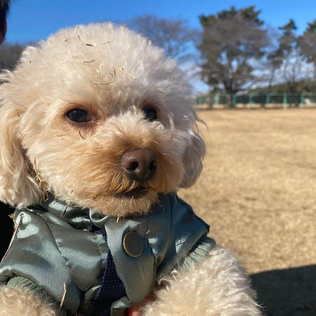 茂木力也のインスタグラム：「あけましておめでとうございます🎍 いよいよ明日から始動です！ 今年はチームの目標達成のために全力を尽くします！ 2021シーズンも応援よろしくお願いします📣  #てんのように泥臭く #今年も沢山走るぞ  #茂木力也  #愛媛fc」