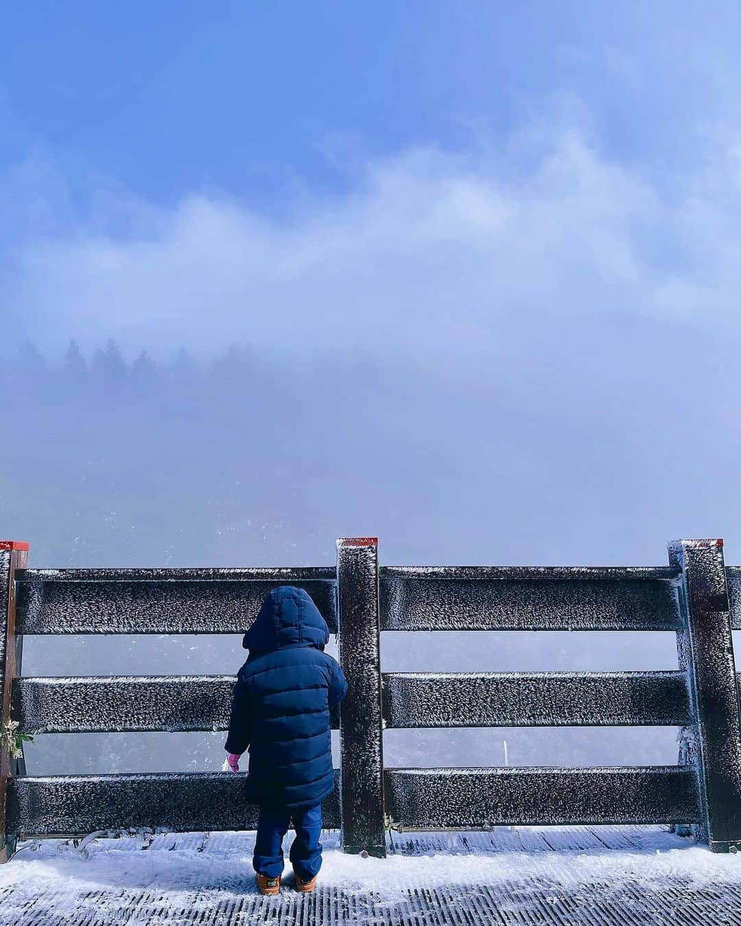 蔡瑞雪（Ruixue Tsai）さんのインスタグラム写真 - (蔡瑞雪（Ruixue Tsai）Instagram)「台灣也有這麼美的雪景🌨 收工後的手機隨拍📷 期待正片 #瑞雪賞雪 ❄️ 拍照中→ 😄 拿開鏡頭 →🥶 - 註 二-美麗的雲海 像來到了仙境，漫步在雲端 三-遇到可愛的小朋友不怕冷的玩欄杆上的雪，背影融化了我的心 💞 四-在樹上的冰柱透過夕陽輝映下，瞬間成了楓葉🍁，與地上的積雪，讓季節界線變得曖昧關係」1月13日 20時57分 - snowbabyq