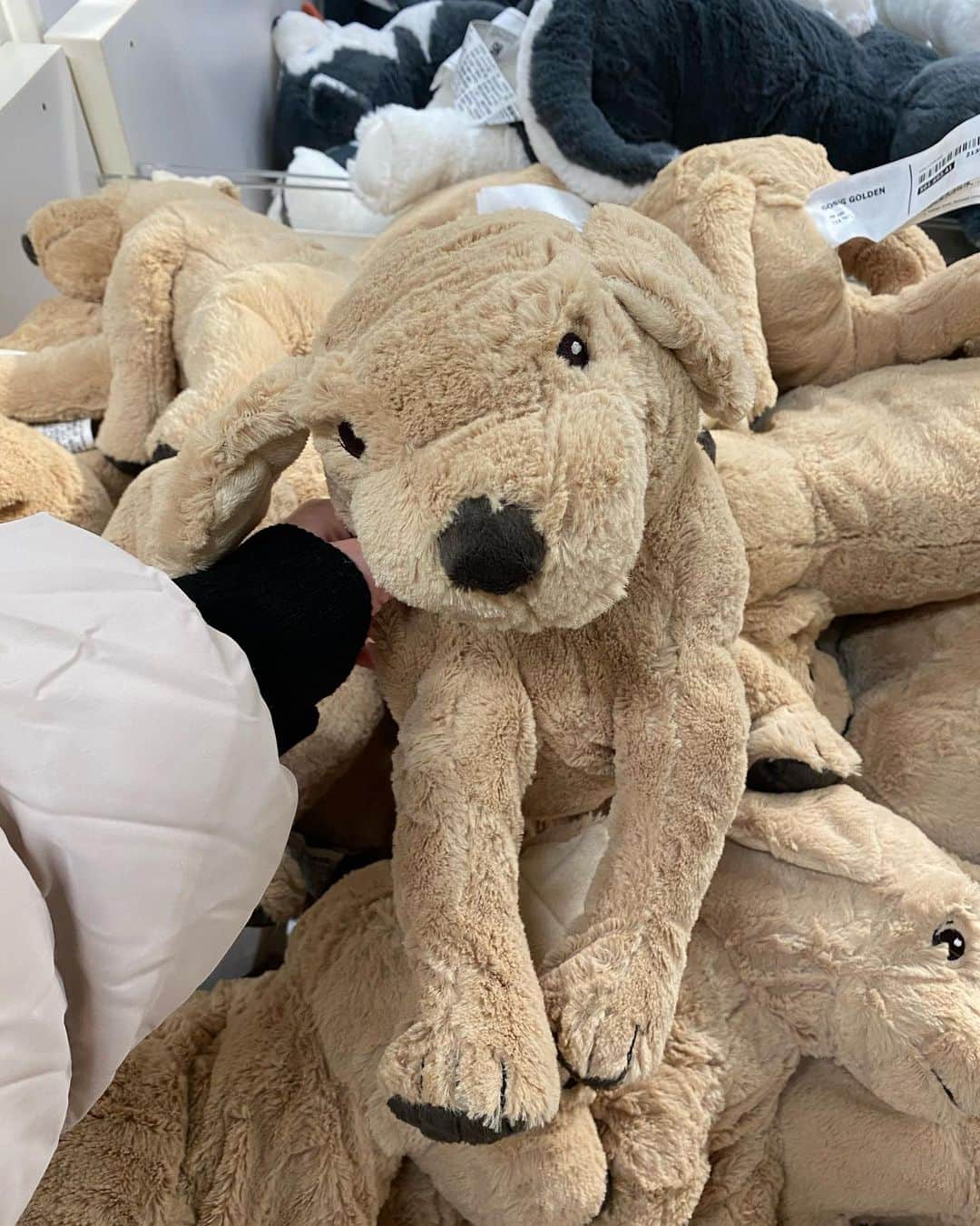 YOUKORINさんのインスタグラム写真 - (YOUKORINInstagram)「IKEA映え巡り🦈#IKEA#ikeaのサメ#パンダ#🐼#神戸#shopping#kobe#イケア#イケアレストラン#ソフトドリンク飲み放題#リモートワーク#リモートワークスペース#会社では画面2個#家ではノートPC#画面の小ささ#白ダウン#ぬいぐるみ#家にいっぱいあるので我慢#関西#お買い物#ikea神戸」1月13日 16時18分 - xxy0uc0riinxx