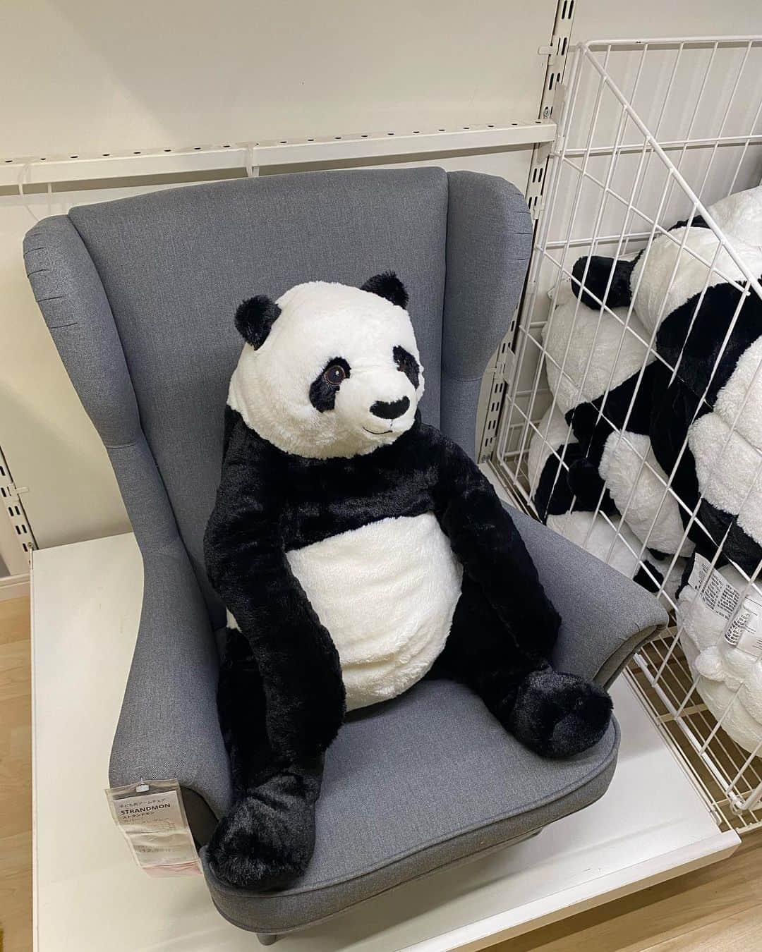 YOUKORINさんのインスタグラム写真 - (YOUKORINInstagram)「IKEA映え巡り🦈#IKEA#ikeaのサメ#パンダ#🐼#神戸#shopping#kobe#イケア#イケアレストラン#ソフトドリンク飲み放題#リモートワーク#リモートワークスペース#会社では画面2個#家ではノートPC#画面の小ささ#白ダウン#ぬいぐるみ#家にいっぱいあるので我慢#関西#お買い物#ikea神戸」1月13日 16時18分 - xxy0uc0riinxx
