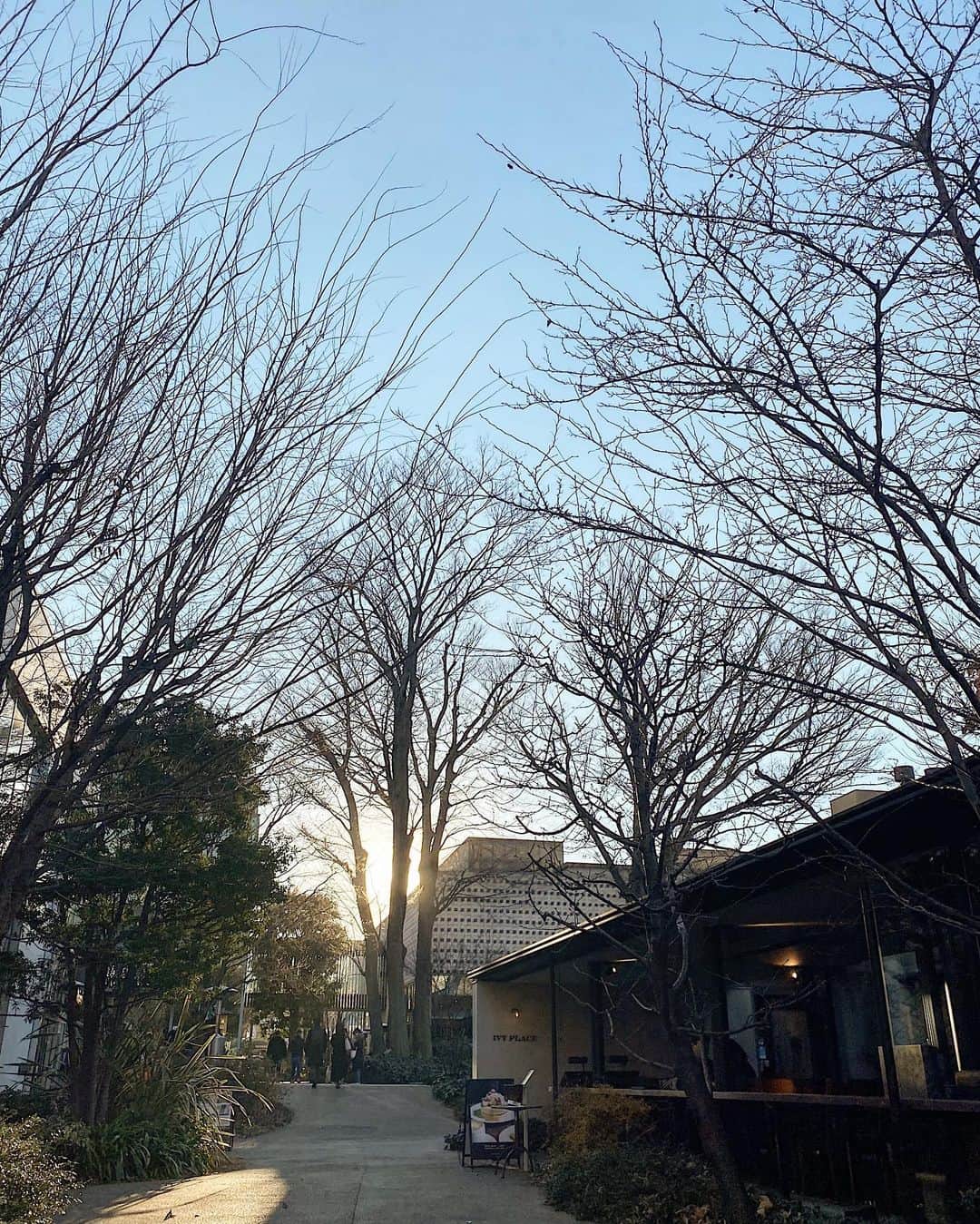 Yuuki mimuraさんのインスタグラム写真 - (Yuuki mimuraInstagram)「🚶🏽‍♀️““  . . 散歩した 〻〻」1月13日 16時55分 - u0829u