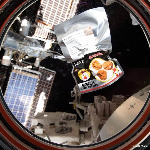 ローソン さんのインスタグラム写真 - (ローソン Instagram)「#ISS (国際宇宙ステーション)から #スペースからあげクン の画像が届きました♪ #野口宇宙飛行士 のYoutubeはこちら→ https://bit.ly/3bFV7sB ･  #ローソン #宇宙 #JAXA #LAWSON」1月13日 17時11分 - akiko_lawson