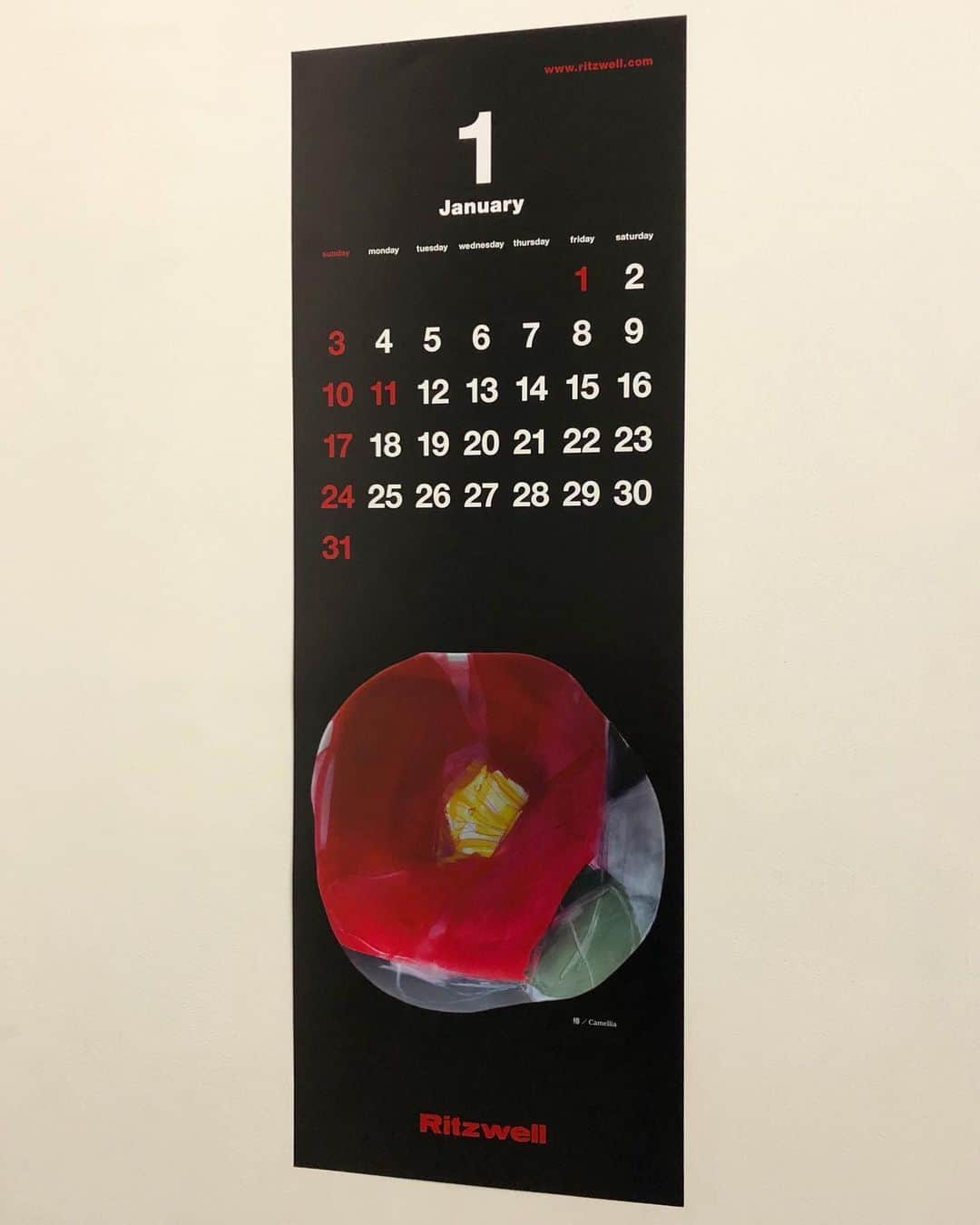 Uzo Hiramatsuさんのインスタグラム写真 - (Uzo HiramatsuInstagram)「Ritzwell UZO Original Calendar 2021 / January (Camellia) #fukuoka #contemporaryart #painting #drawing #flower #camellia」1月13日 17時11分 - uzo_hiramatsu