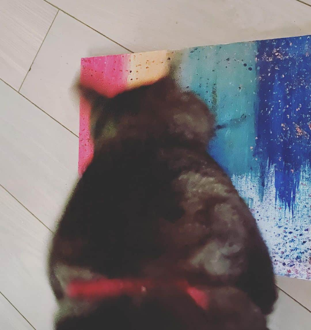 DJ mariennuさんのインスタグラム写真 - (DJ mariennuInstagram)「I drew this 🐈🎨 #cat #drewing」1月13日 17時08分 - mariennu1202