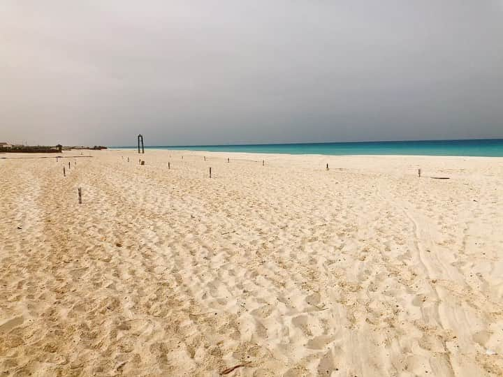 東江雄斗のインスタグラム：「地中海散歩🚶‍♂️🌊 綺麗すぎた！！沖縄帰りたいと思った🤭 そして世界は広いなと感じました😊  #地中海 #綺麗 #沖本japan #沖本信和 #飯田純一郎 #事柴壮武 #成田幸平 #吉野樹 #毎日投稿チャレンジ」