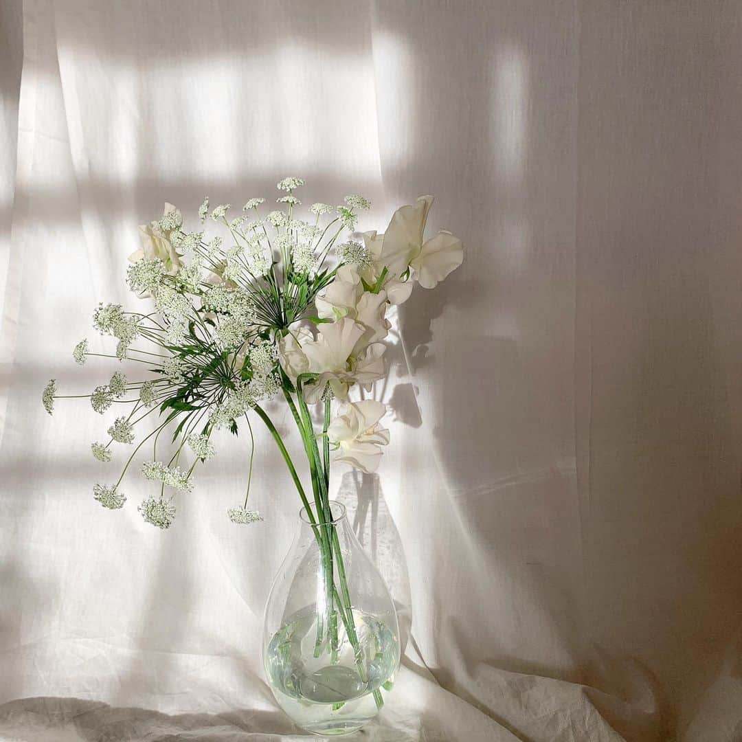 小山内花凜さんのインスタグラム写真 小山内花凜instagram N Official のトップス 2wayのデザインで 今回はボタンが付いてる方を 後ろにして着ました 袖もふわっとしてて可愛いアイテムです 1月19日 18時27分 Karin Osanai