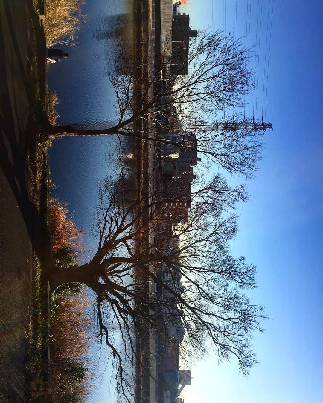 やけのはらさんのインスタグラム写真 - (やけのはらInstagram)「川を散歩した。 久しぶりにクタクタになるまで歩いて良い日でした。  #散歩 #川」1月13日 17時50分 - yakenohara_taro