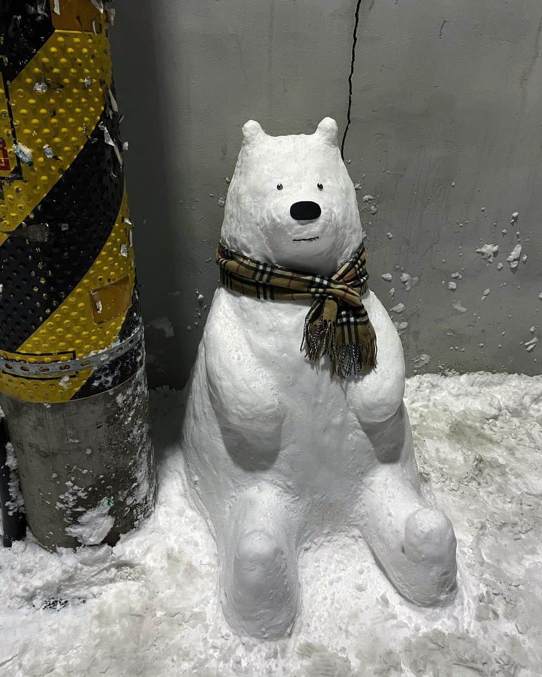 ペ・ユニョンさんのインスタグラム写真 - (ペ・ユニョンInstagram)「Ice Bear ☃️🤍」1月13日 18時02分 - mulan_bae