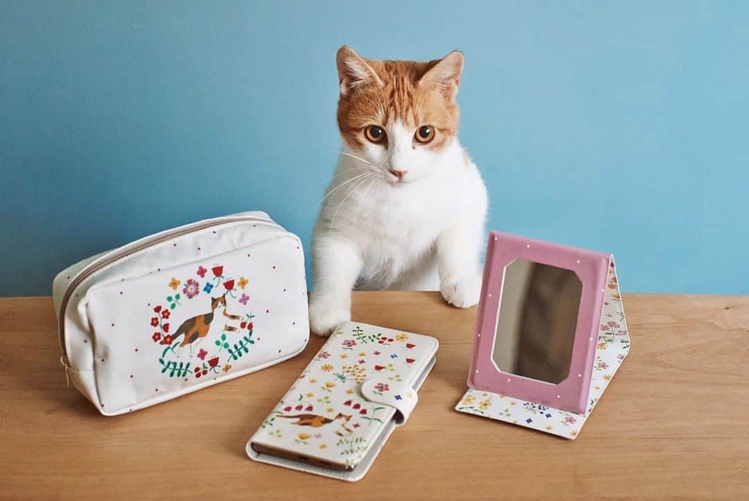 スタディオクリップさんのインスタグラム写真 - (スタディオクリップInstagram)「【1月14日(木)からAIKO FUKAWAコラボがスタート！】  人気イラストレーターの布川愛子さんとのコラボ商品が明日、発売されます◎布川さんのぬくもりのある可愛らしい猫と、お花のイラストが描かれた持ち歩きたくなるようなポーチや携帯ケース、おうち時間を楽しくしてくれるクッションやスリッパなど様々なアイテムを展開致します！ぜひ、お楽しみに＊  #studioclip #スタディオクリップ #aikofukawa #保護猫 #保護犬 #ねこねこクリップ #いぬいぬクリップ #ねこねこクリップいぬいぬクリップ #いぬいぬクリップねこねこクリップ #スタジオクリップ #スタジオじゃないスタディオだよ #ちょうどいい暮らし」1月13日 18時26分 - studioclip