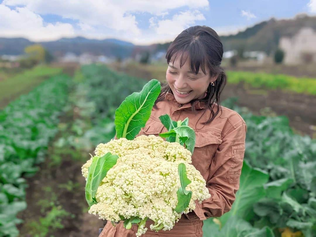 芳美リンのインスタグラム