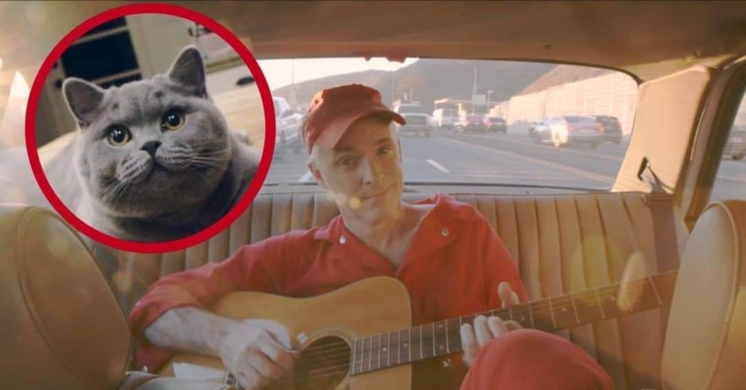 のインスタグラム：「Remember to tune in at 2pm to see the Nina's Song video starring Huey the cat! Link in bio.」