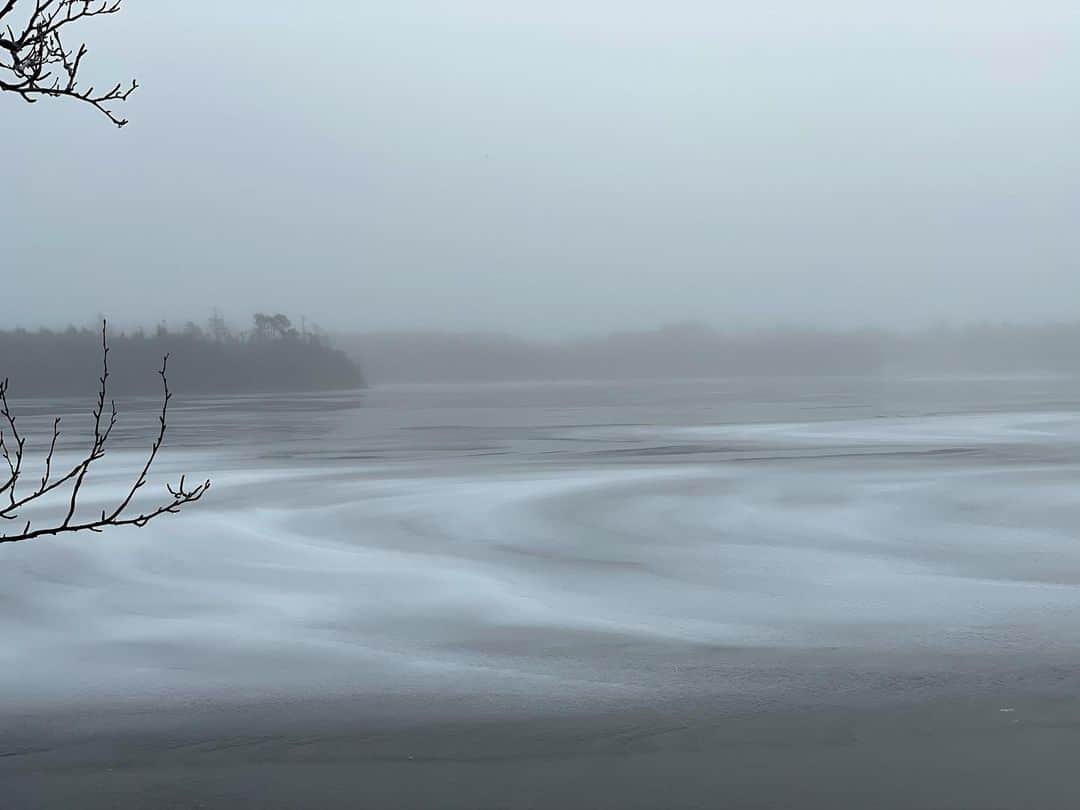 ミーガン・オリーさんのインスタグラム写真 - (ミーガン・オリーInstagram)「Morning misty muse @johnny_reardon_  such a great premier of #hudsonandrex too! #mist」1月9日 22時06分 - officialmeghanory