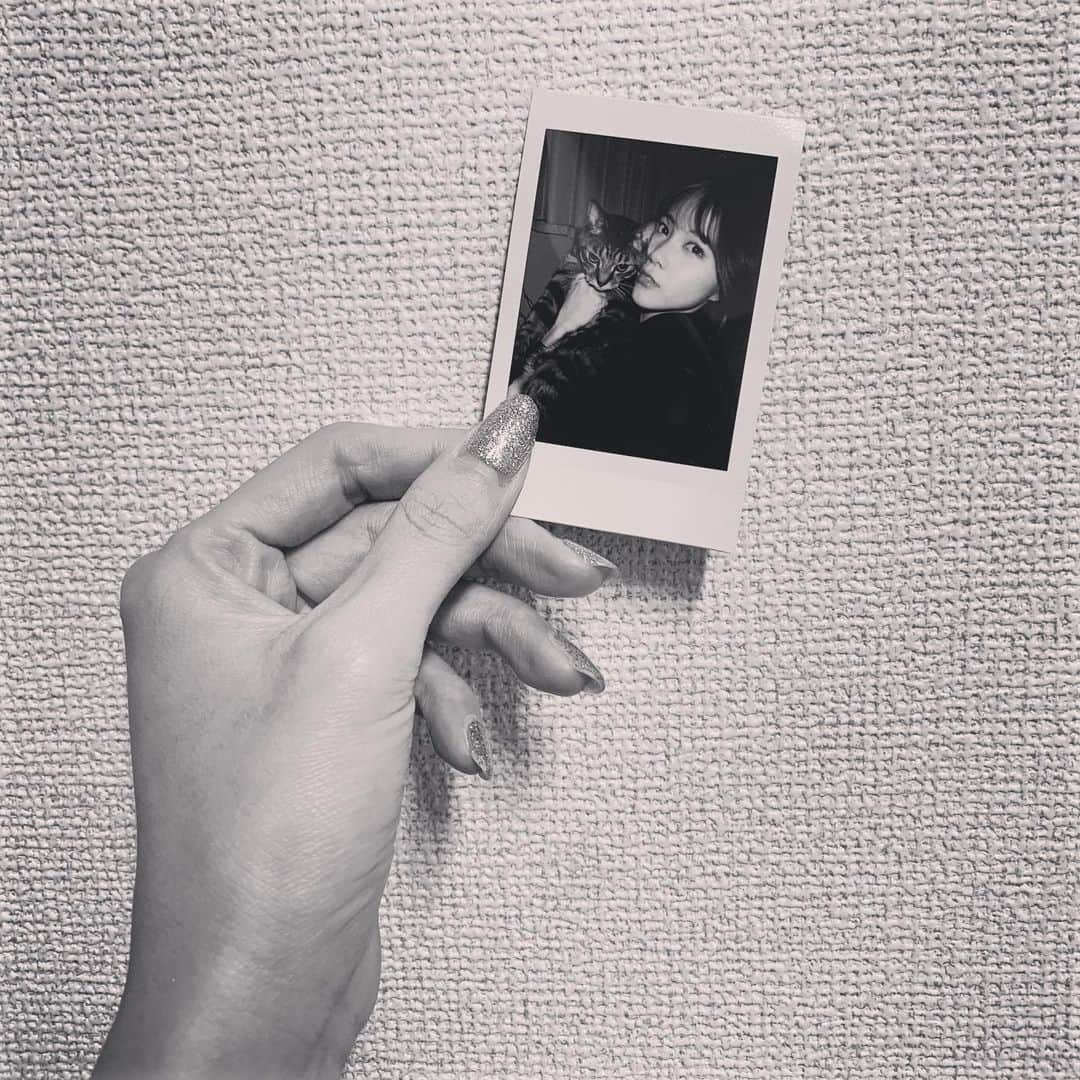 舞木香純さんのインスタグラム写真 - (舞木香純Instagram)「チェキやっぱたのしい🥲 チェキとろ？🥲  #チェキ#ねこ#保護猫」1月9日 22時57分 - kasuminn_world