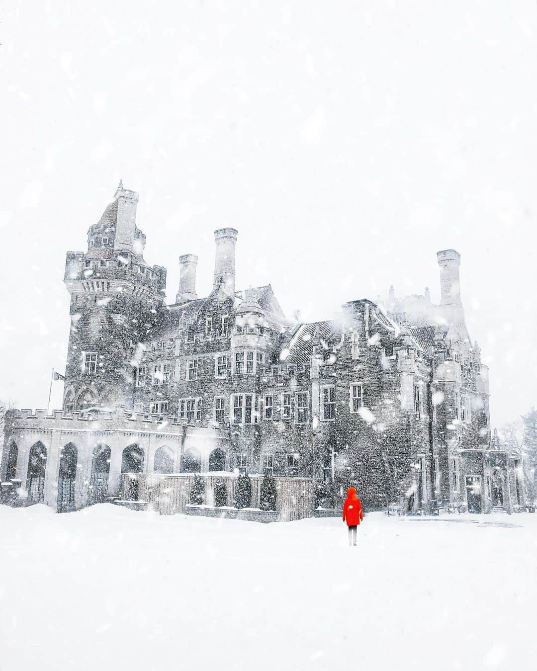 kaelのインスタグラム：「Shelter from the storm」