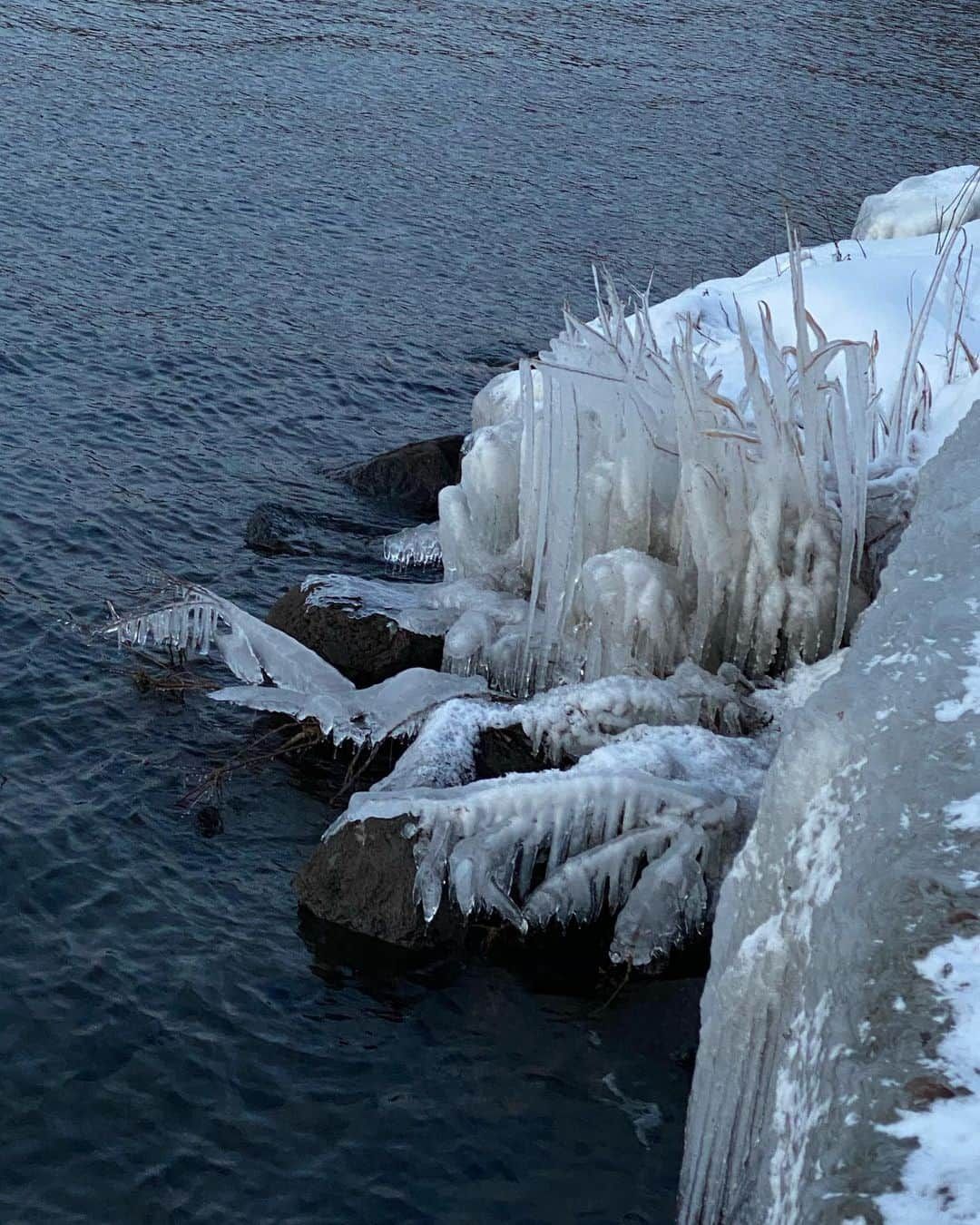 小柴綾香のインスタグラム：「Nature's art ❄️」