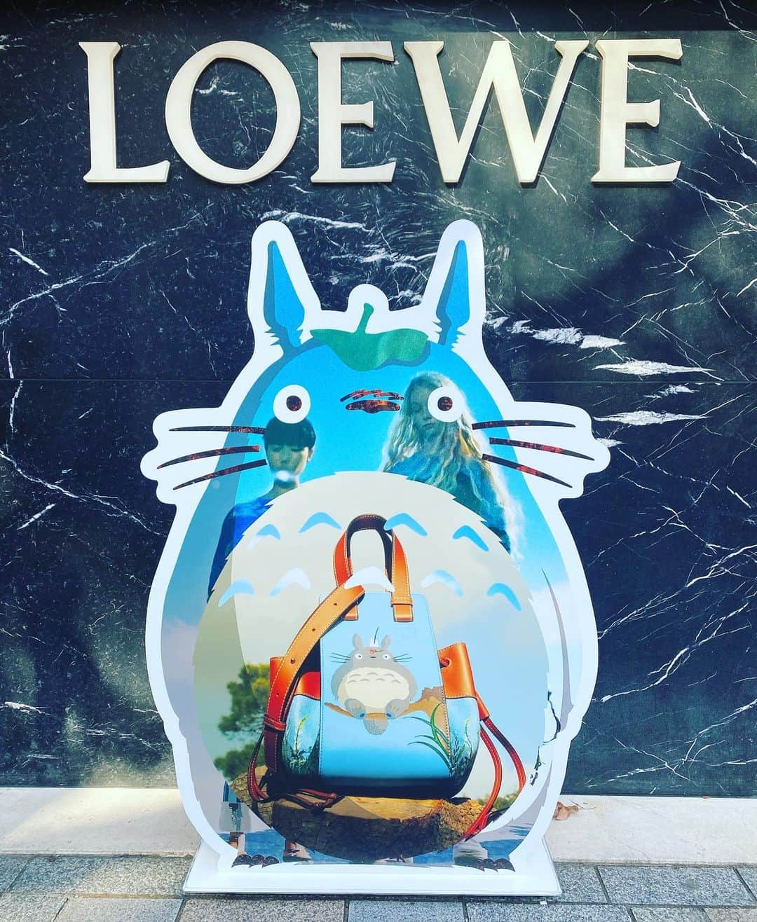 田中杏子さんのインスタグラム写真 - (田中杏子Instagram)「LOEWEととなりのトトロの可愛すぎるコラボレーション。はい。水色パーカーをゲット🙏💕💕💕💕🎉🙆‍♀️💪  #loewe  #loewetotoro」1月9日 14時39分 - akoakotanaka