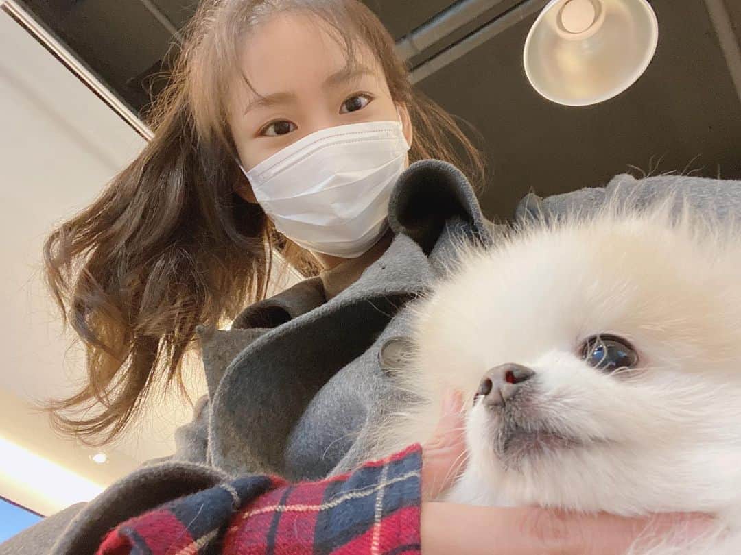 ハン・スンヨンのインスタグラム：「extreme cold thick ice」