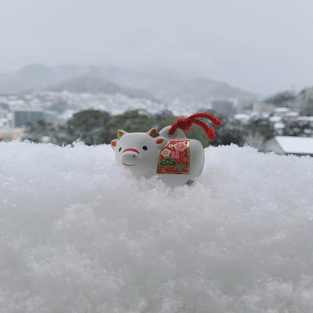 佐藤綾子さんのインスタグラム写真 - (佐藤綾子Instagram)「⛄️ゆき☃️﻿ ﻿ のんびりしていたら年明け最初の投稿が﻿ 今になってしまいました👺﻿ 皆様本年も宜しくお願いします。﻿ ﻿ 雪の長崎ですね。﻿ 数年前の大雪では山の上から市街地まで﻿ 取材に奔走していましたが﻿ 今回は休暇でステイホームです。﻿ 交通インフラなどにとっては﻿ 大変厄介なことですが、﻿ 近所の公園からは子供達が遊ぶ声が﻿ 賑やかに響いています。﻿ 長崎生まれの私にとっても﻿ 滅多に積もることのない雪は﻿ やっぱりちょっとソワソワします。﻿ ﻿ 普段と違う足元、﻿ 歩幅は小さく、転ぶ時はお尻から！﻿ 十分気をつけて﻿ 暖かくしてお過ごしくださいね。﻿ ﻿ ﻿ #長崎 #雪 #スーパーJチャンネル長崎﻿ #ncc #長崎文化放送 #アナウンサー」1月9日 16時17分 - satoaya_ncc
