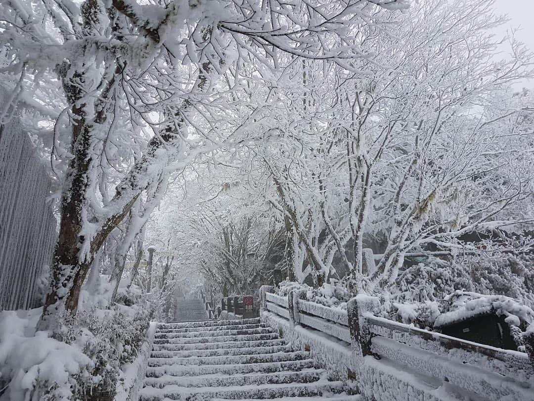 Vogue Taiwan Officialさんのインスタグラム写真 - (Vogue Taiwan OfficialInstagram)「#VogueTravel 寒流來襲，你有熱血去山上追雪嗎？這兩天全台灣急速降溫，多處山上都飄起雪來，其中位於宜蘭的太平山就成為大家追雪的人氣景點，白雪皚皚的景色宛如置身高緯度雪國般夢幻，如果不想出門直接欣賞照片也不賴！  📷@taipingshan100   #下雪 #雪景 #太平山 #宜蘭 #snow #yilan #winter   🖋#wendych」1月9日 16時47分 - voguetaiwan