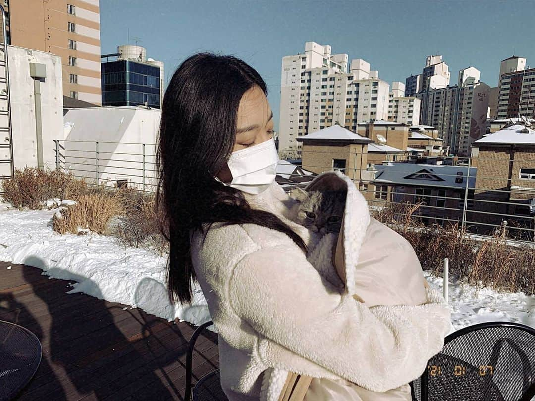 チャンミさんのインスタグラム写真 - (チャンミInstagram)「❄🐱👩」1月9日 16時43分 - dohwa_blossom_