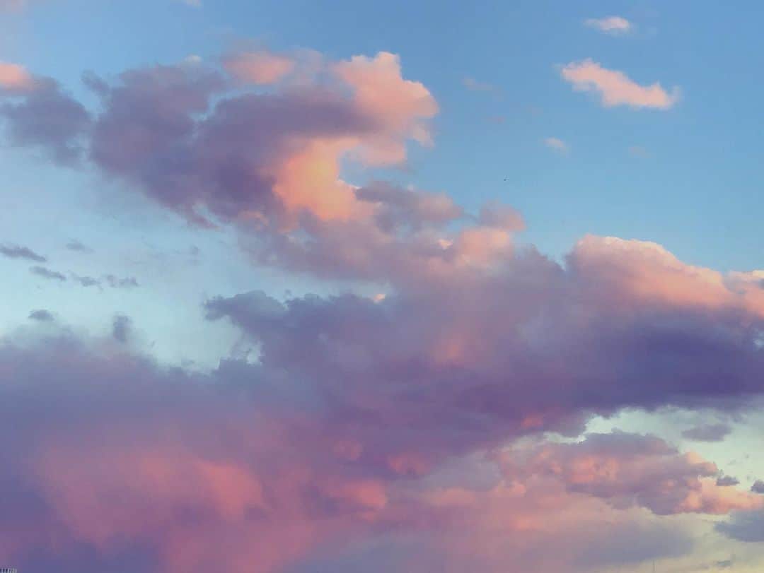 柴田淳さんのインスタグラム写真 - (柴田淳Instagram)「#紫とピンク」1月9日 16時56分 - shibatajun_official