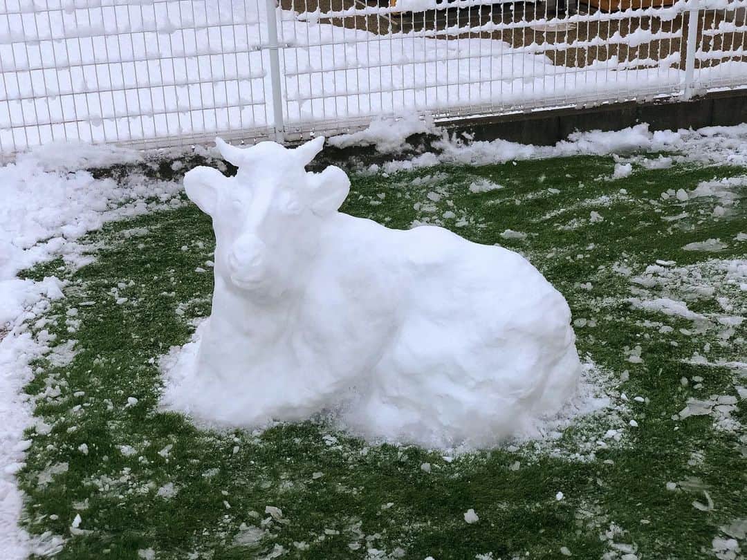 雪アートのinstagram 雪アートインスタグラム ハッシュタグ