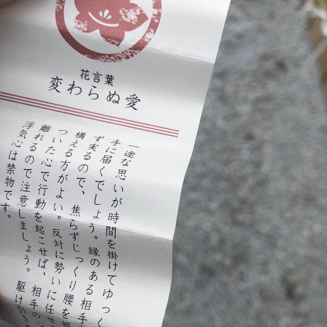 岩崎春果（るちゃまる）さんのインスタグラム写真 - (岩崎春果（るちゃまる）Instagram)「. 変わらぬ愛.」1月9日 18時11分 - iwasakiharuk_a
