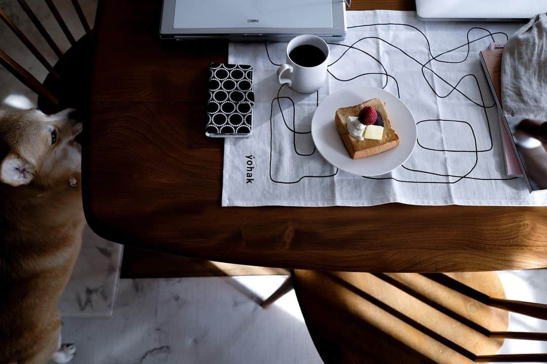 maggydaisyのインスタグラム：「_  cimaiさんの食パンであんバタートースト  普段はMacだけど役員仕事はWindowsの古い化石のようなノートパソコンで。 もう使う事は無いと思ってほったらかしだったけど、動いてくれて助かってる。 おそらくMacでも出来るのだと思うけどうまく行かない。 パソコンに強くなりたい𓂃𓂃𓂃  #cimai #cimaipain #lunch #昼ごはん #maggydaisymore20210109 #corgi  #コーギー #犬のいる暮らし #里親 #濱岡健太郎 #あんバタートースト」