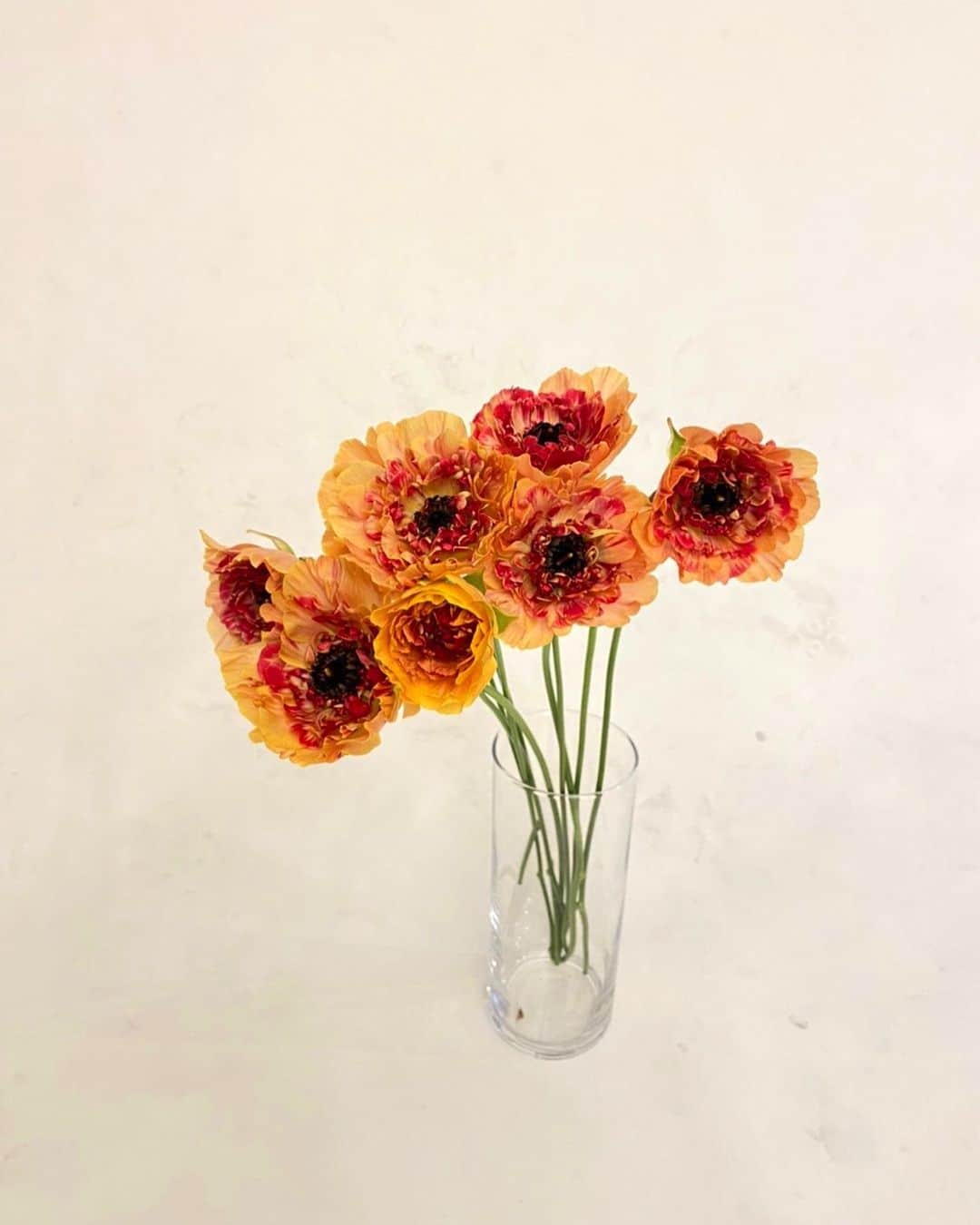 アルマリアンFUKUOKA　公式のグルメインスタ