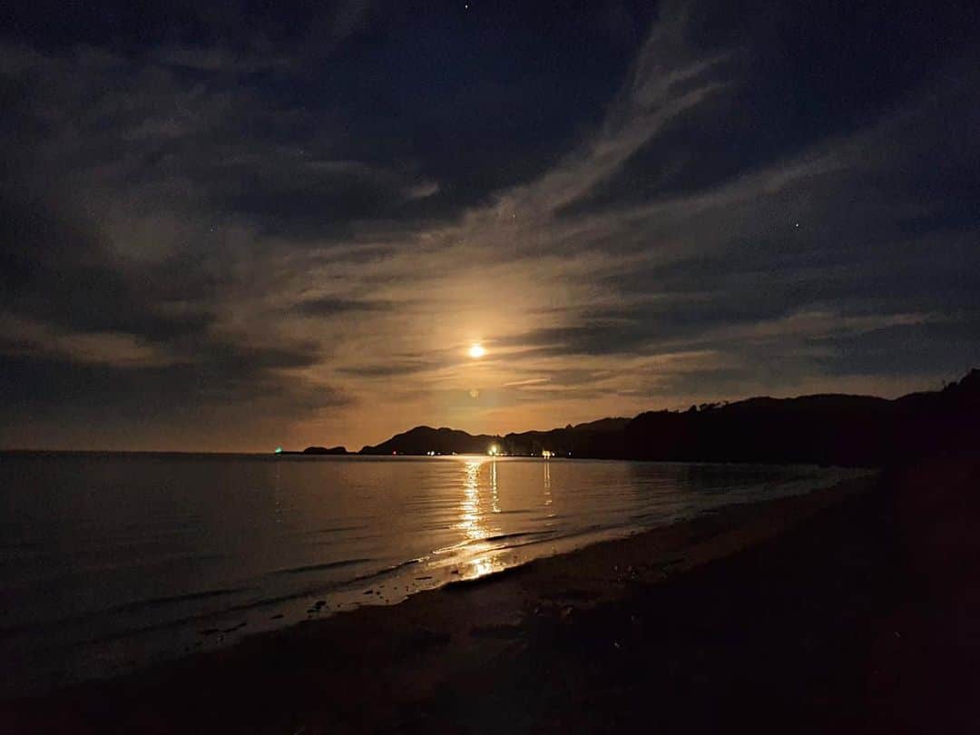 Sophie Pascoeのインスタグラム：「Last Evening glow in the golden bay! 🌝✨🌟 #pohara #nz #summerholidays」