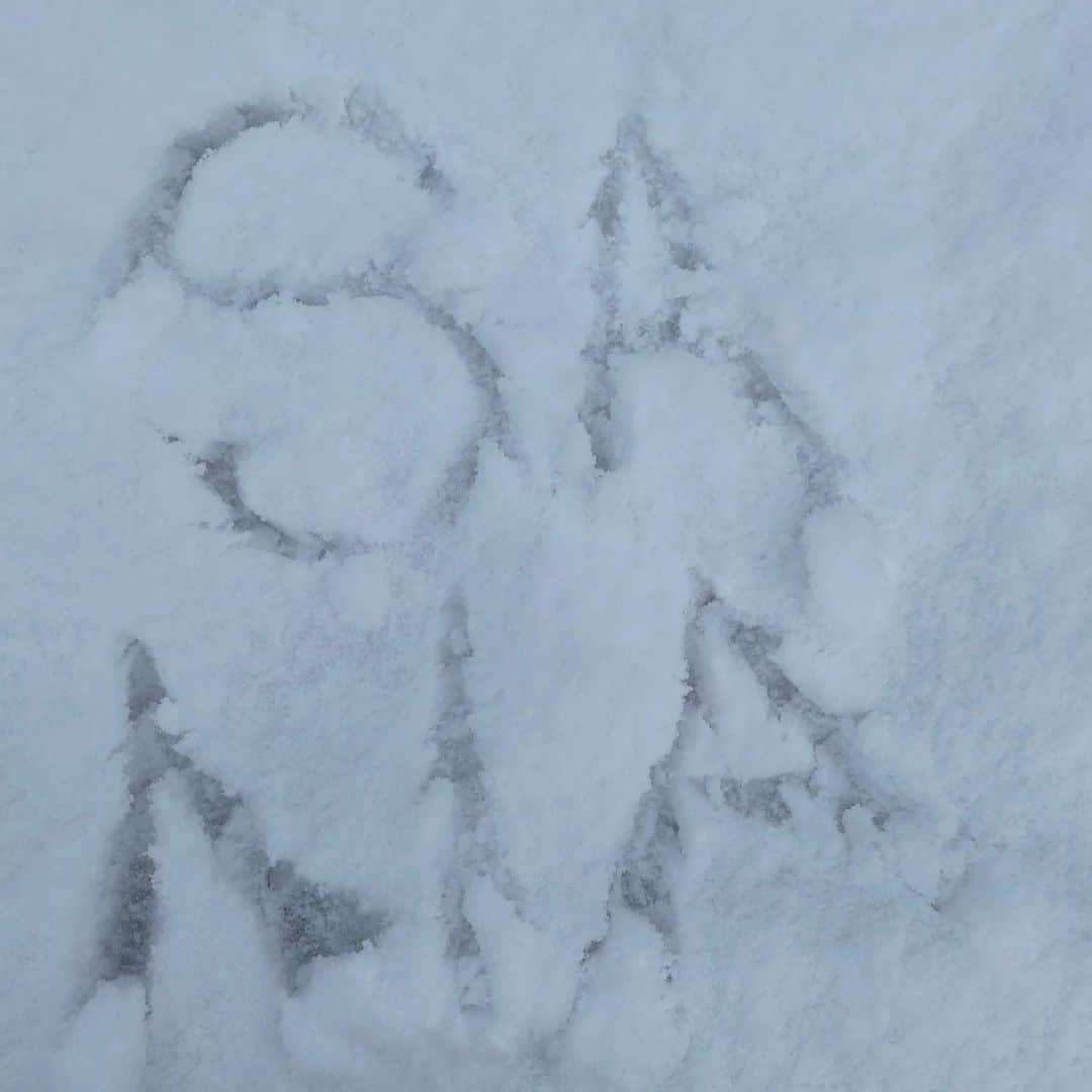 小川紗奈さんのインスタグラム写真 - (小川紗奈Instagram)「雪で遊んできた❄﻿ ﻿ 雪降っても雪遊びそんなにしないほうだからなにしたらいいかわからなかったけど楽しかった⸜❤︎⸝‍﻿ ﻿ 雪に名前かこう思ったけど思いのほか難しくて沢山書いちゃったのでその後誰にも見られていないことを願います。。。﻿ ﻿ #雪 #雪遊び #冬 #snow #winter #followme」1月9日 18時39分 - sana_hkt48