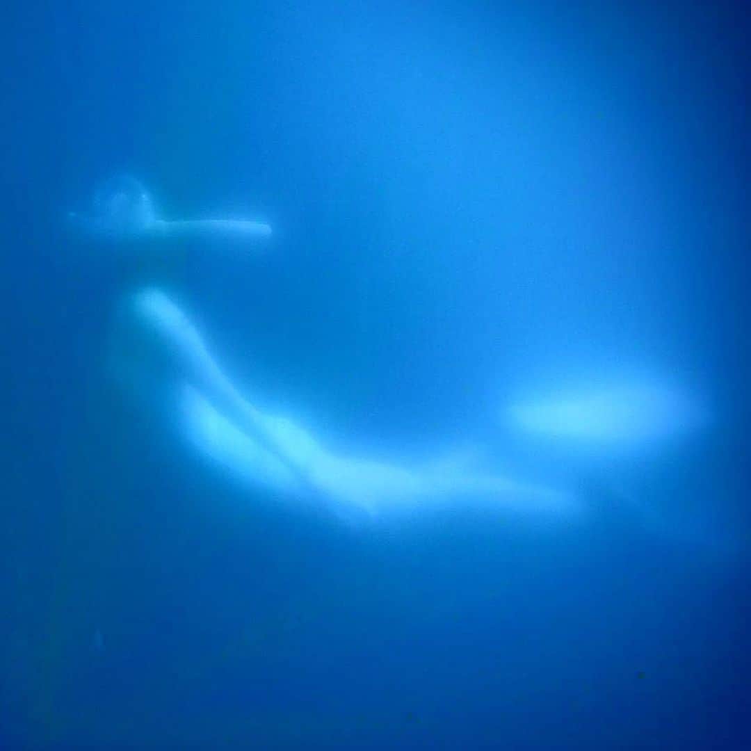 ノーマさんのインスタグラム写真 - (ノーマInstagram)「4時間近く続いた海の話に塩水が恋しくなる🐟🦑🐢🐬文明の利器にあやかりながら日米4都市繋いで大自然を紐解く取材と対談。興奮が止まらなさそうな旅の始まりです🌏  3枚目は最近読み返していた本🤤 4枚目は息抜きに今から読む本🤤  #earthscience #sea #blue #海」1月9日 19時02分 - noma77777
